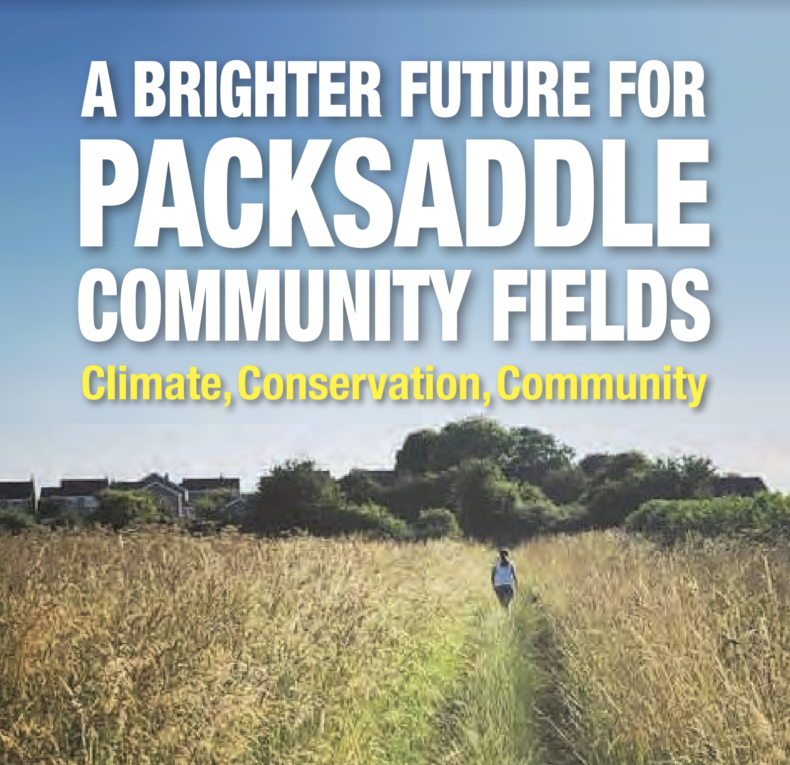 A Brighter Future for Packsaddle Community Fields